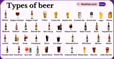 Types of Beer with Names in English and Pictures