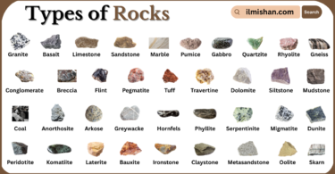 Types of Rocks with Names in English with Pictures