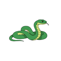 Viper | Types of Reptiles with Names in English