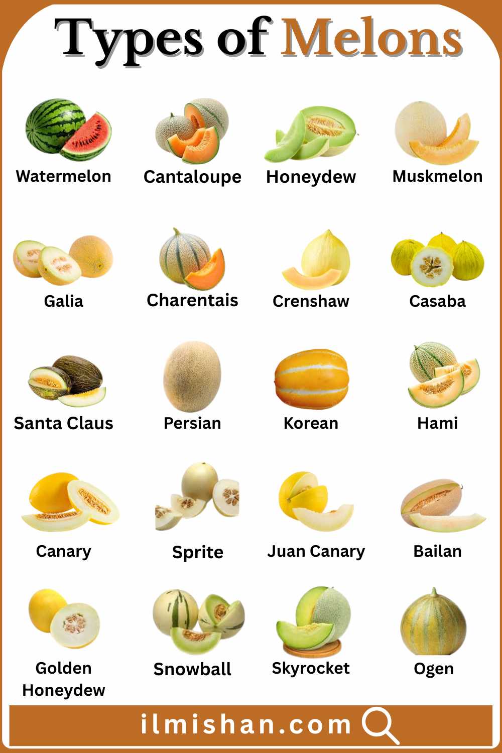 20 Types of Melons with Names with their Pictures
