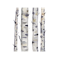 Birch | Types of Trees with Names