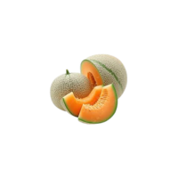 Cantaloupe