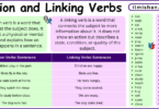 Difference Between Action Verbs and Linking Verbs in English