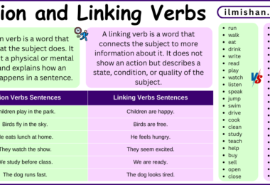 Difference Between Action Verbs and Linking Verbs in English