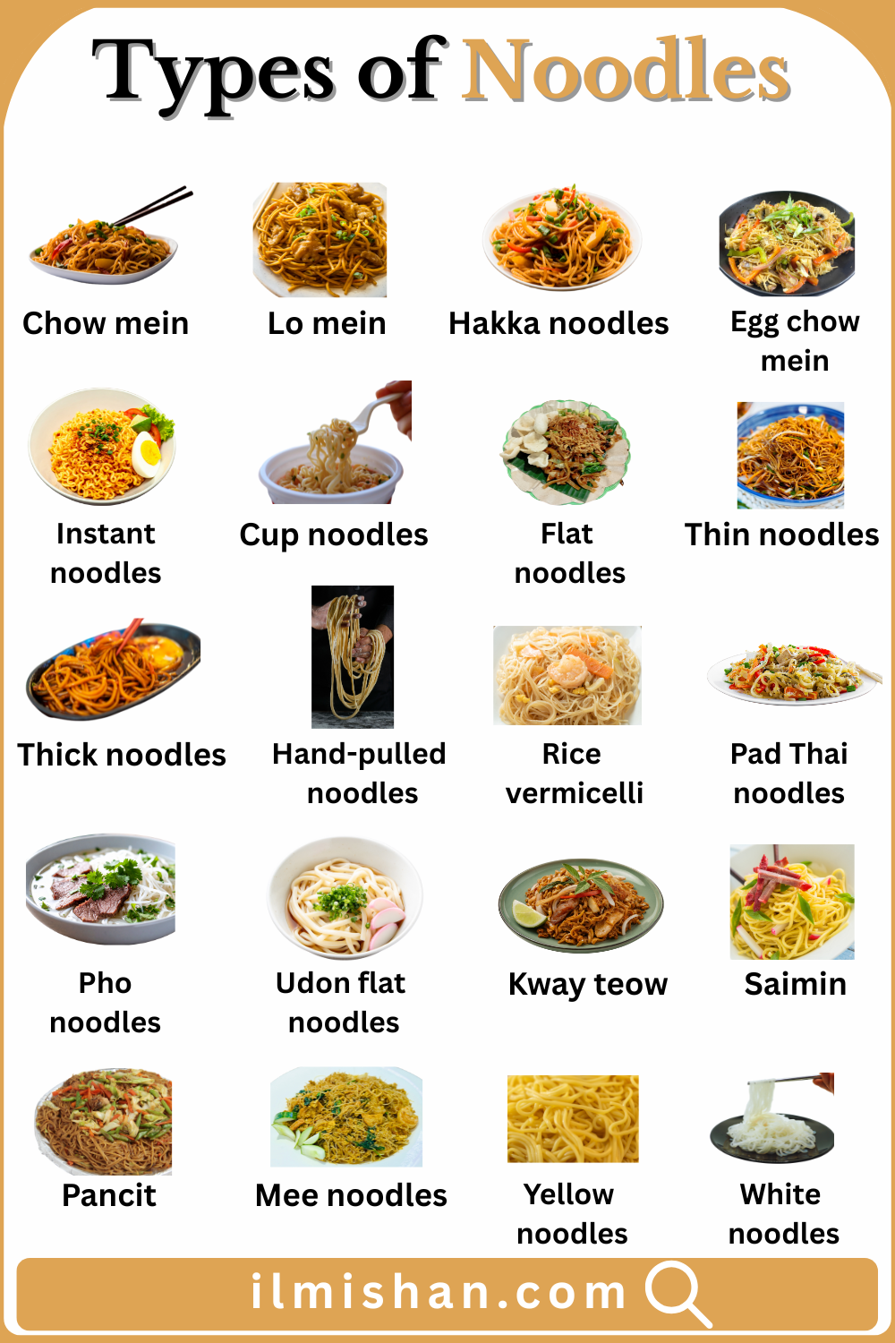 Different Types of Noodles Names in English and their Images