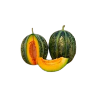 Emerald Gem | Types of Melons