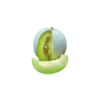 Green Nutmeg | Types of Melons