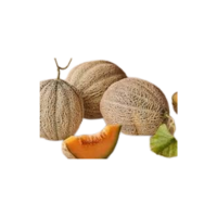 Hearts of Gold | Types of Melons