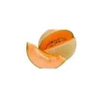Honey Orange | Types of Melons