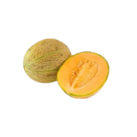Honey Rock | Types of Melons