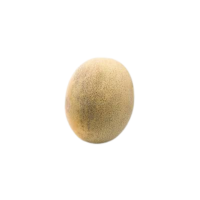 Persian | Types of Melons