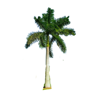 Royal Palm