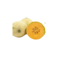 Sugar Cube | Types of Melons