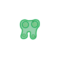 Tapetum | Parts of Flowers