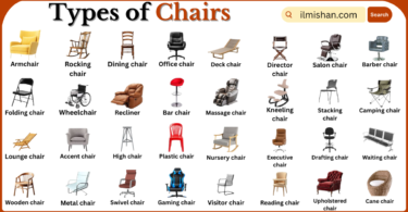 Types of Chairs with Names in English with Pictures