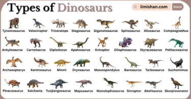 Types of Dinosaurs with Names in English with Pictures