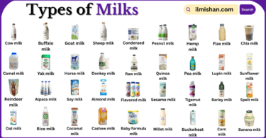 Types of Milks with Names in English with Pictures