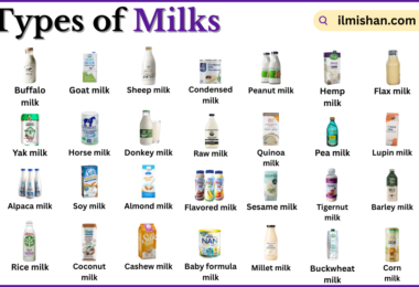 Types of Milks with Names in English with Pictures