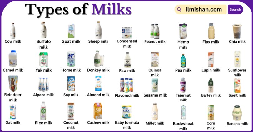 Types of Milks with Names in English with Pictures