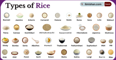 Types of Rice with Names in English with Pictures