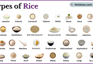 Types of Rice with Names in English with Pictures
