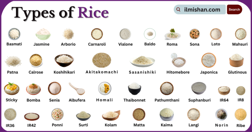 Types of Rice with Names in English with Pictures