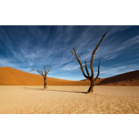 Barren | Types of Desert with Names