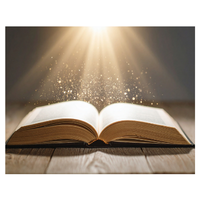 Booklight | Types of Lights with Names