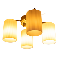 Ceilinglight | Types of Lights with Names