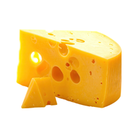 Cheese | Types of Kids Food with Names