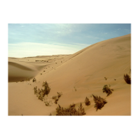 Continental | Types of Desert with Names