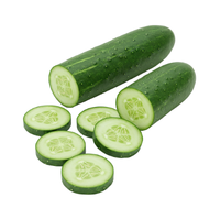 Cucumber | Types of Kids Food with Names