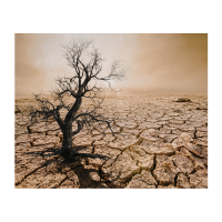 Desiccated | Types of Desert with Names