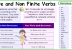 Difference Between Finite and Non Finite Verbs in English