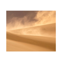 Dune