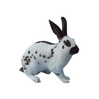 English Spot | Types of Rabbit Breeds with Names