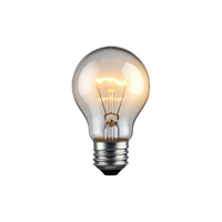 Filament bulb | Types of Lights with Names
