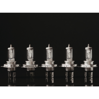 Halogen | Types of Lights with Names