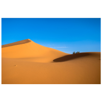 Hot | Types of Desert with Names