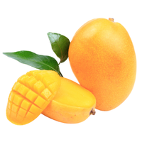 Mango | Types of Kids Food with Names