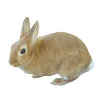 Palomino Rabbit
