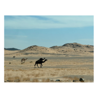 Parched | Types of Desert with Names