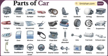 Parts of Car with Names in English with Pictures