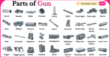Parts of Gun with Names in English with Pictures