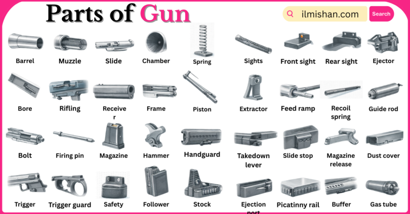 Parts of Gun with Names in English with Pictures