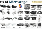 Parts of Microscope with Names in English with Pictures