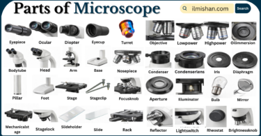 Parts of Microscope with Names in English with Pictures