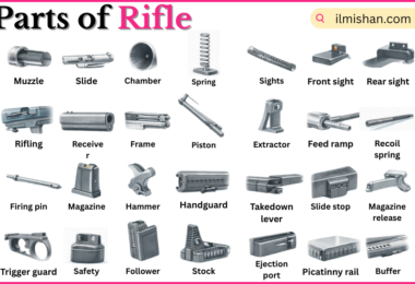 Parts of Rifle with Names in English with Pictures