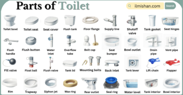 Parts of Toilet with Names in English with Pictures