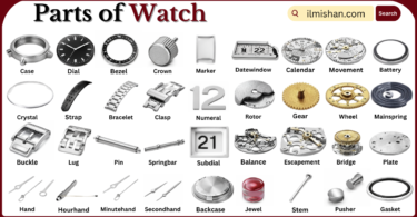 Parts of Watch with Names in English with Pictures